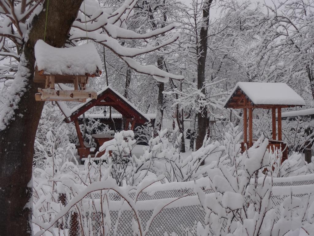 Котедж-Шале Елітний Slavske Exterior photo